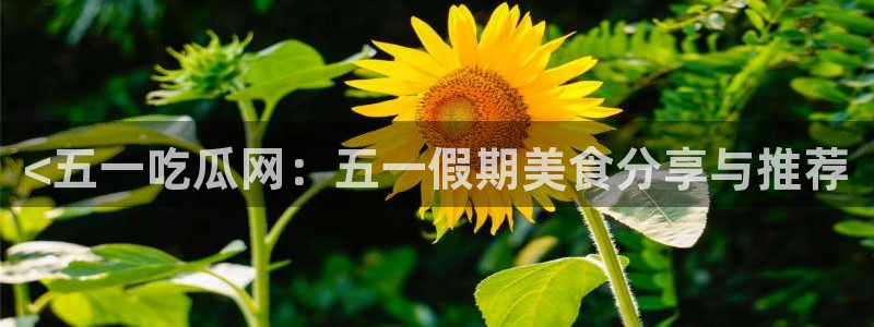 高血糖可以吃贝贝瓜吗