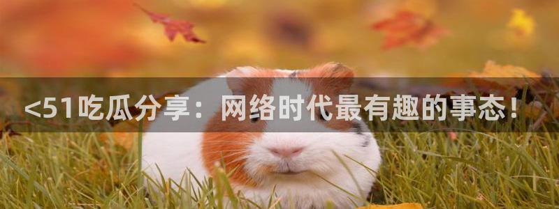 各种网红爆料吃瓜：<51吃瓜分享：网络时代最有趣的事态！