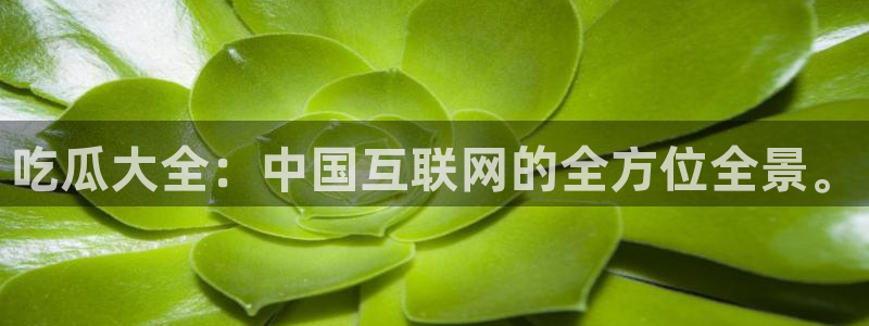 51吃瓜今日必吃刀刀：吃瓜大全：中国互联网的全方位全景。