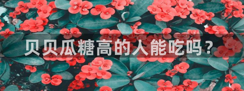 yourport吃瓜网