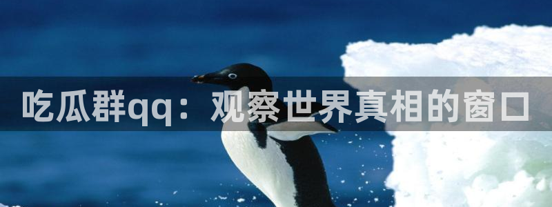 吃瓜新闻