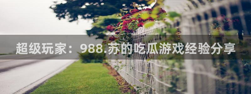 cg吃瓜群众最新版网址