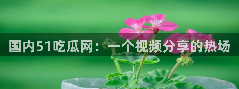 ccgg今日吃瓜：国内51吃瓜网：一个视频分享的热场