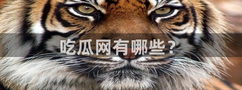 ccgg今日吃瓜：吃瓜网有哪些？