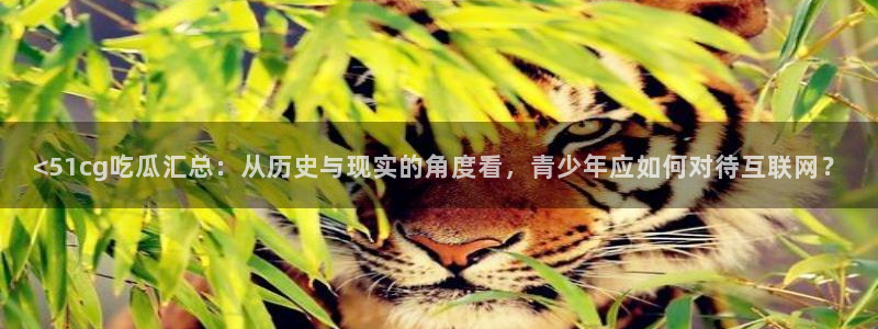 黑料揭秘：<51cg吃瓜汇总：从历史与现实的角度看，青少年应如何对待互联网？