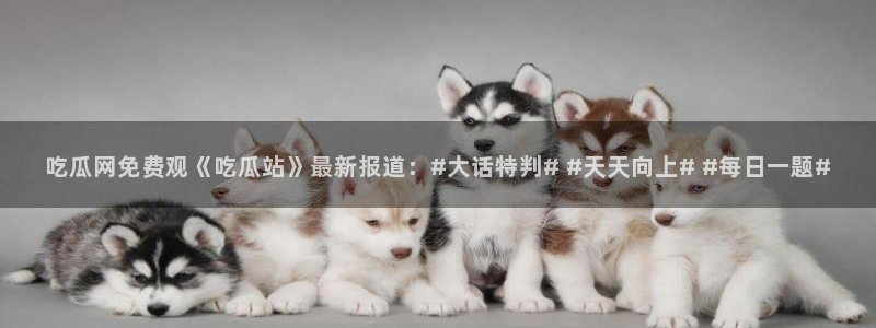 718.sⅹ 吃瓜：吃瓜网免费观《吃瓜站》最新报道：#大话特判# #天天向上# #每日一题#