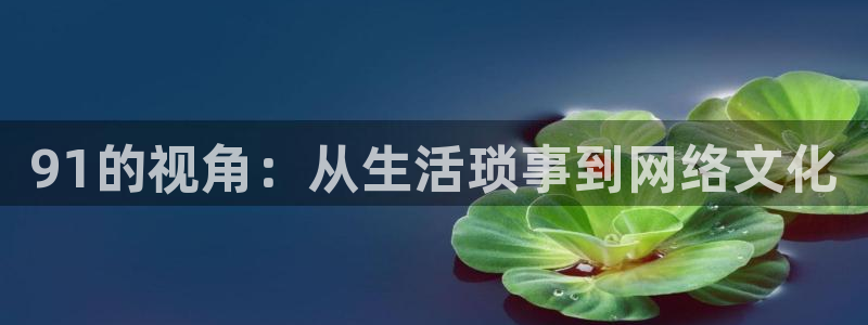 51吃瓜网小鹿酱:91的视角:从生活琐事到网络文化